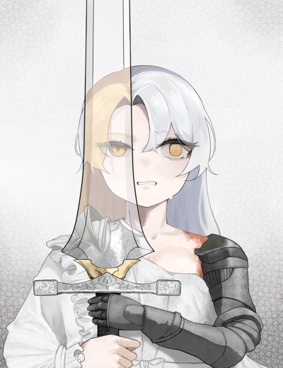 The Princess Knight is Too Strong Cover