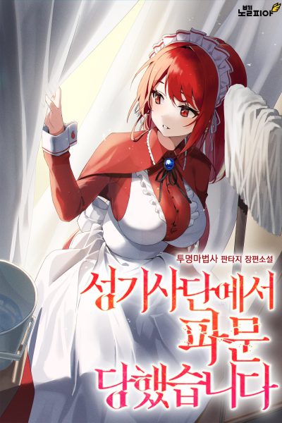 I Was Excommunicated From the Order of Holy Knights Cover