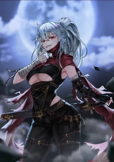 The Former Assassin Becomes a Noble Lady Cover