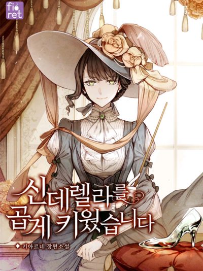 The Stepmother Raises Cinderella Cover