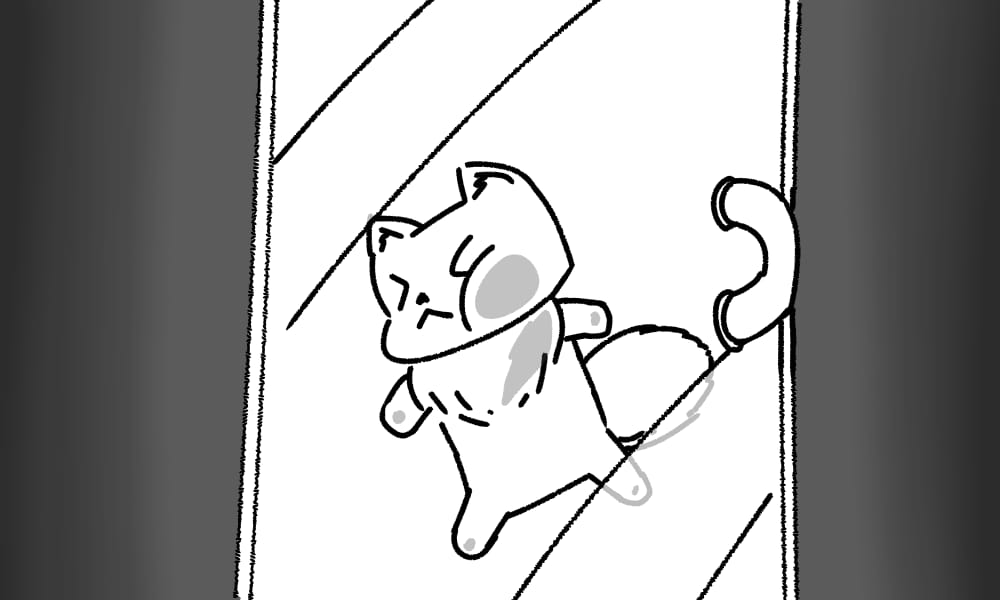 34
